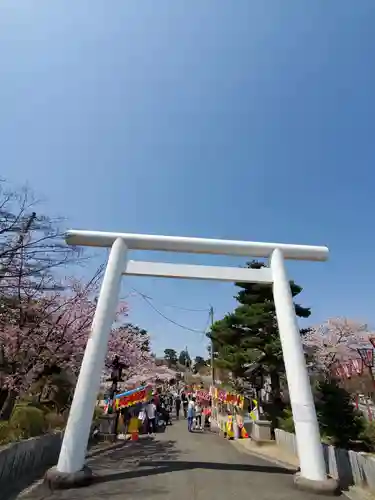 開成山大神宮の鳥居