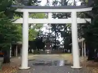 旭川神社の鳥居