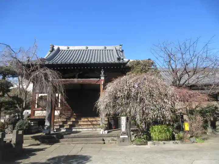 清林寺(東京都)