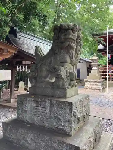 南沢氷川神社の狛犬