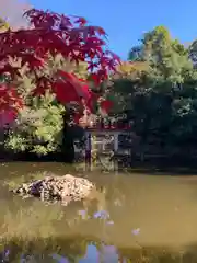 武蔵一宮氷川神社(埼玉県)