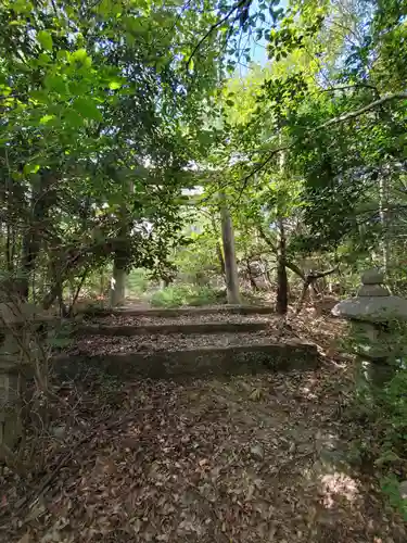 赤坂浅間神社の鳥居