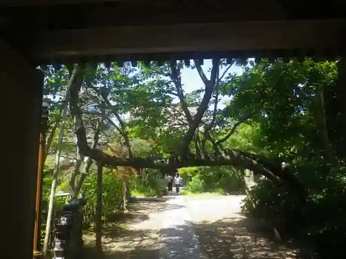 教恩寺のその他建物