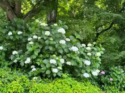 勝尾寺(大阪府)