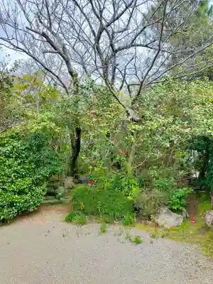 顕常寺(大阪府)