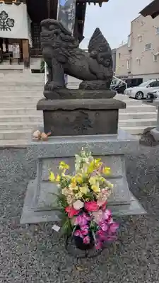 札幌諏訪神社の狛犬