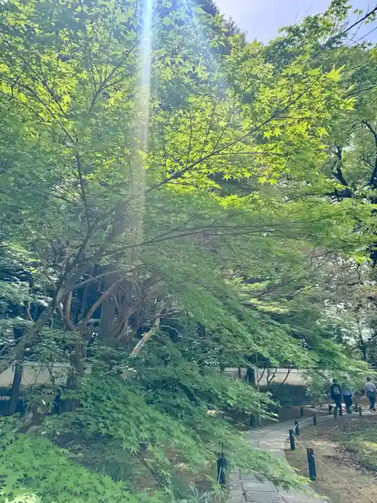 青蓮院門跡の{uncategorized: "未分類", other: "その他", undefined: "問題あり", building: "その他建物", grave: "お墓", sacred_gate: "鳥居", guardian: "狛犬", statue: "像", buddha: "仏像", history: "歴史", nature: "自然", garden: "庭園", animal: "動物", pagoda: "塔", temizu: "手水舎", mountain_gate: "山門・神門", sanctuary: "本殿・本堂", subordinate: "末社・摂社", art: "芸術", scenery: "景色", jizo: "地蔵", ema: "絵馬", goshuin: "御朱印", omikuji: "おみくじ", items: "授与品その他", amulet: "お守り", goshuincho: "御朱印帳", eats: "食事", festival: "お祭り", votive_dance: "神楽", shichigosan: "七五三参", wedding: "結婚式", experience: "体験その他", initially: "初詣", around: "周辺", anti_infection: "感染症対策"}