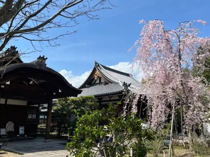 法金剛院(京都府)