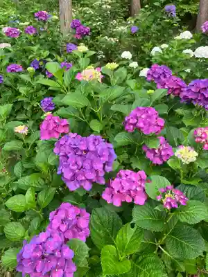 長谷寺(長野県)