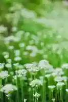 浄土寺(兵庫県)