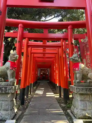 大杉神社(茨城県)