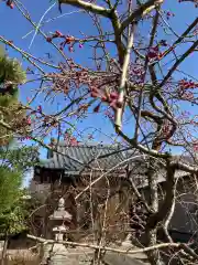 總社 和田八幡宮の自然