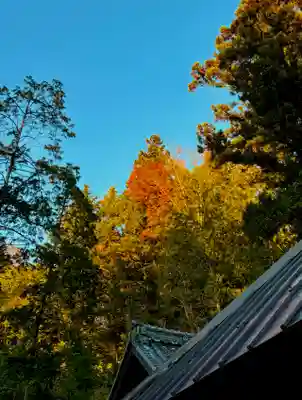 蚊里田八幡宮(長野県)