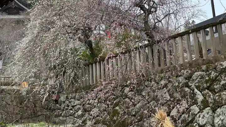 長谷寺(奈良県)