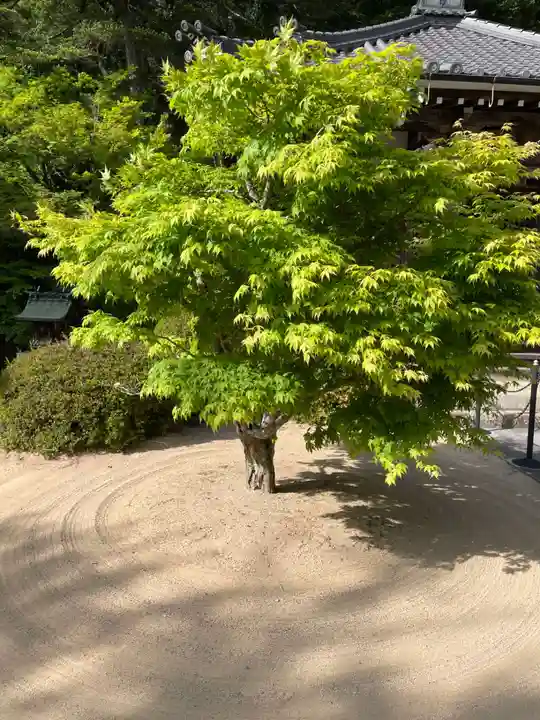 花山院菩提寺(兵庫県)