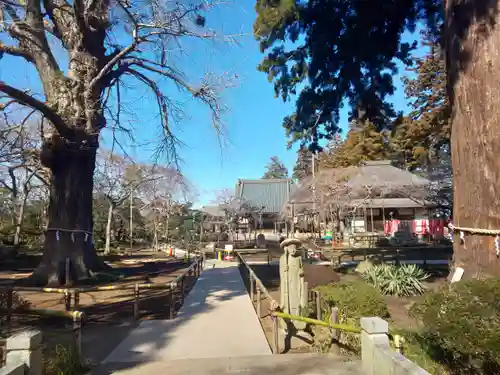 六地蔵寺の庭園