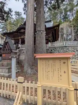 三峯神社(埼玉県)