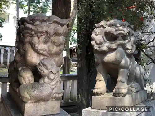 くまくま神社(導きの社 熊野町熊野神社)の狛犬