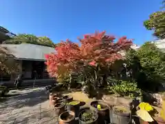 伊勢の国 四天王寺(三重県)