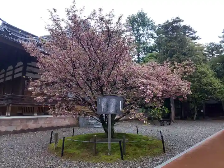 尾山神社の自然
