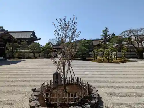 仁和寺(京都府)