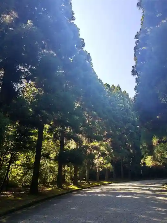 武蔵陵墓地の自然