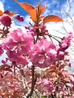 伊達神社の自然