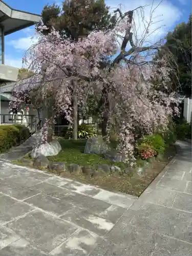 寳幢院(東京都)