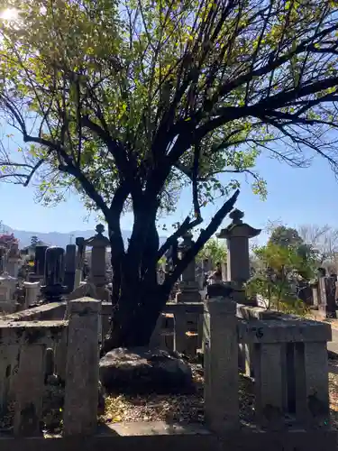 定林寺(山梨県)