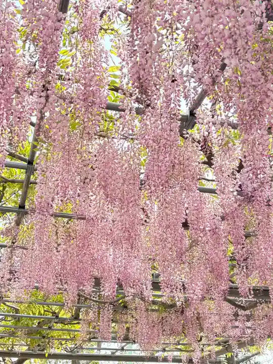 津島神社(愛知県)
