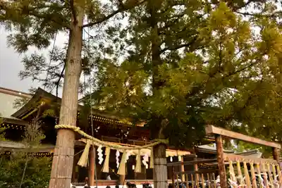 寒川神社(神奈川県)