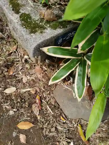 円山随身稲荷大明神のその他建物