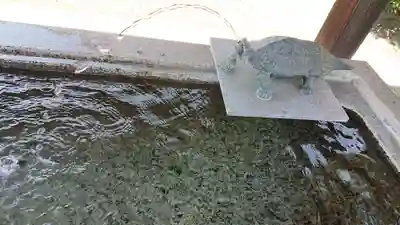 八坂神社の手水舎