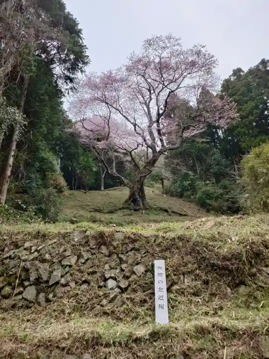 廣實神社(山口県)