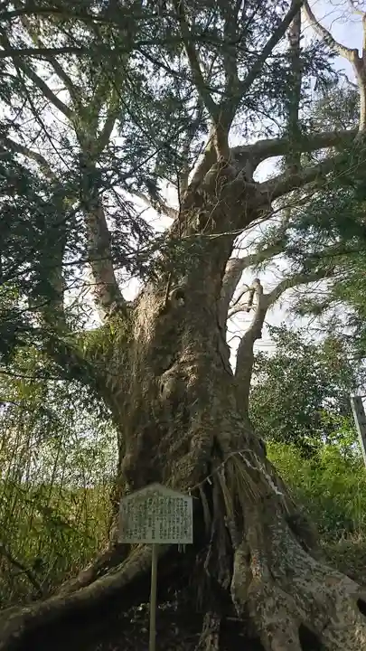日高見神社の自然