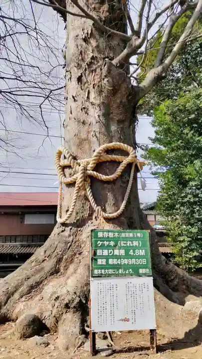 出雲大社相模分祠(神奈川県)