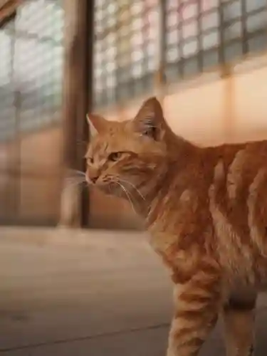 天王山 安楽寺(福井県)