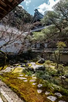 禅林寺(永観堂)(京都府)