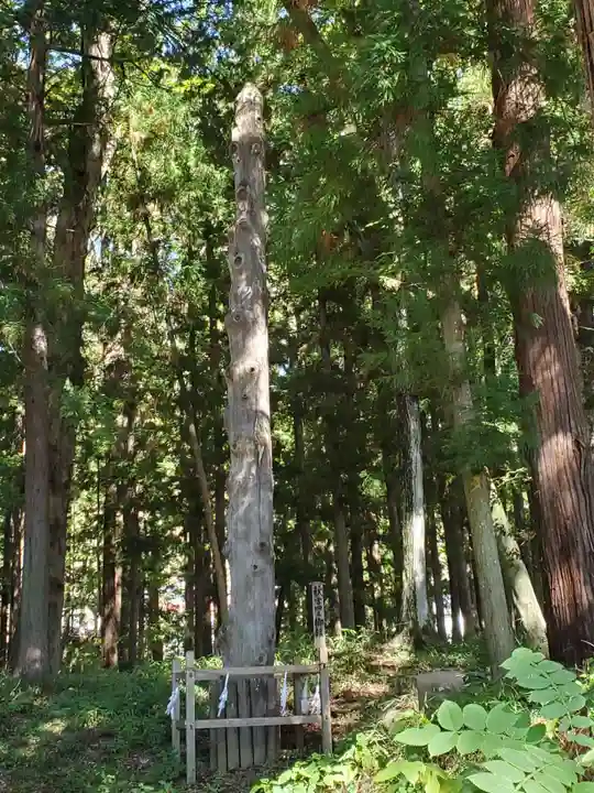 諏訪大社下社秋宮の自然