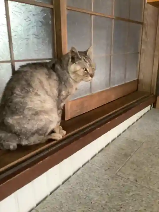 玉野御嶽神社の動物