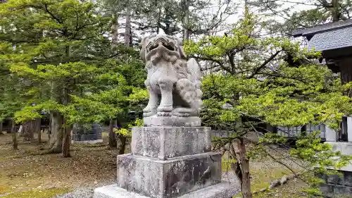 上川神社の狛犬