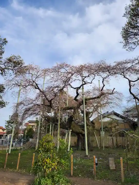般若院(茨城県)
