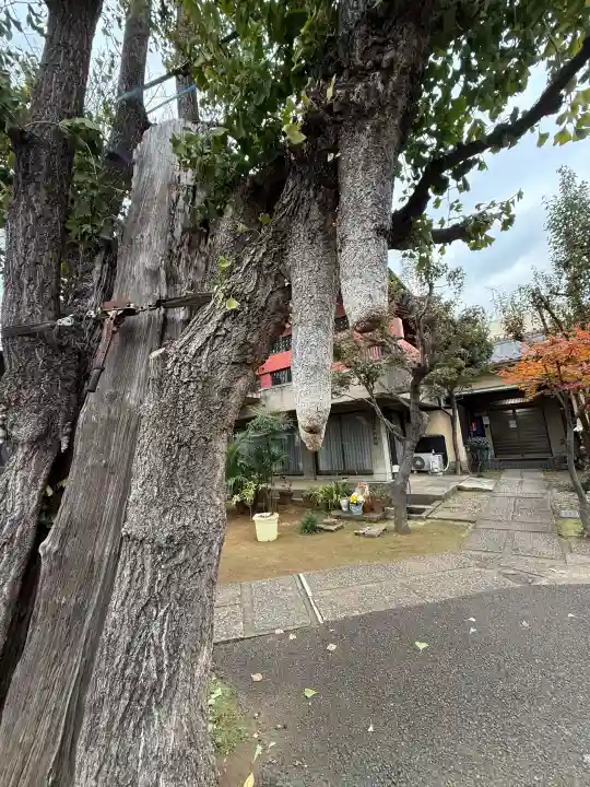 寿徳寺の{uncategorized: "未分類", other: "その他", undefined: "問題あり", building: "その他建物", grave: "お墓", sacred_gate: "鳥居", guardian: "狛犬", statue: "像", buddha: "仏像", history: "歴史", nature: "自然", garden: "庭園", animal: "動物", pagoda: "塔", temizu: "手水舎", mountain_gate: "山門・神門", sanctuary: "本殿・本堂", subordinate: "末社・摂社", art: "芸術", scenery: "景色", jizo: "地蔵", ema: "絵馬", goshuin: "御朱印", omikuji: "おみくじ", items: "授与品その他", amulet: "お守り", goshuincho: "御朱印帳", eats: "食事", festival: "お祭り", votive_dance: "神楽", shichigosan: "七五三参", wedding: "結婚式", experience: "体験その他", initially: "初詣", around: "周辺", anti_infection: "感染症対策"}