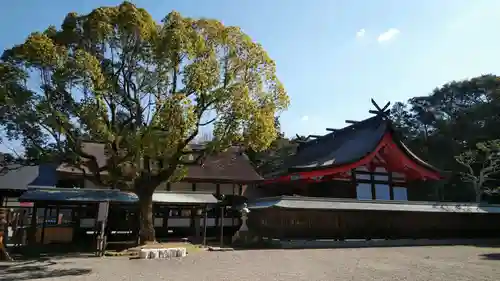 宗像大社の本殿・本堂