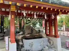 浅草神社の手水