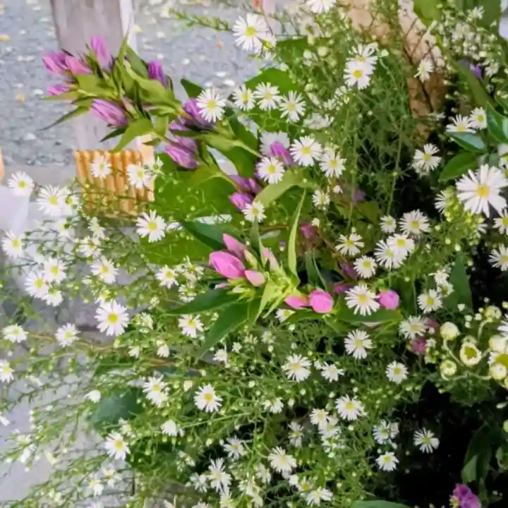 彌彦神社 (伊夜日子神社)(北海道)