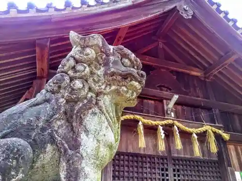 箭比神社の狛犬