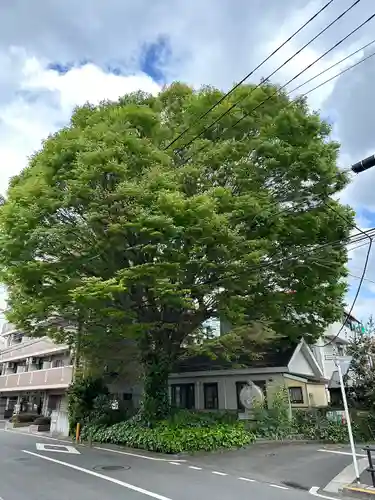 小野神社(東京都)