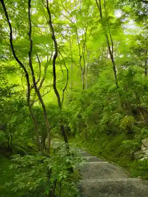 光明寺瑠璃光院の自然