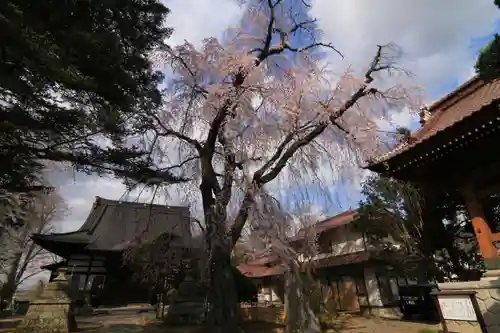 十念寺の景色